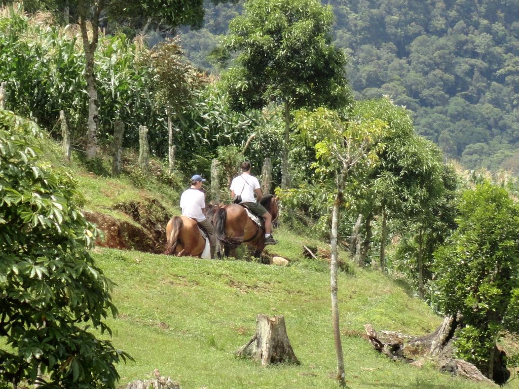 Sitio Colina Hotell Rio do Sul Eksteriør bilde